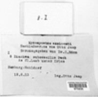 Image Associated With the Occurence